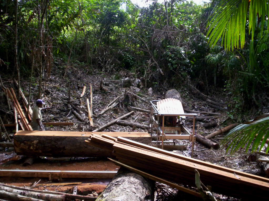 Milling in PNG Forest