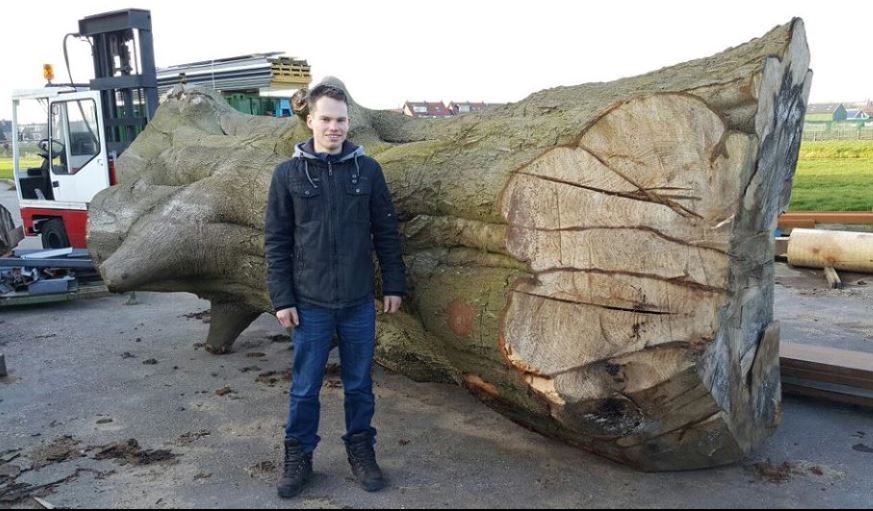Mark van Zee with the Big Beech log which inspired his slabbing project