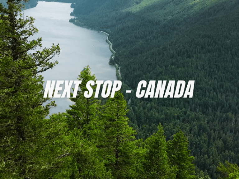 Live sawmill demostration in Canada